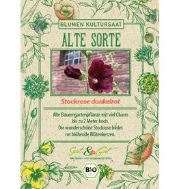 Saat & Gut BIO-Stockrose dunkelrot