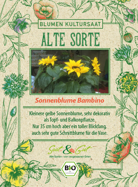 Saat & Gut BIO-Sonnenblume Bambino