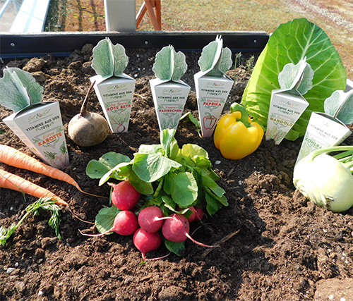 Saat & Gut BIO-Vitamine aus der Tüte - Flotte Karotte