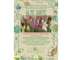 pflanzen knstlich gro Sanseverie, Bogenhanf im Topf, knstlich, grn, gro  Tannendiele  BlumenGut Dsseldorf