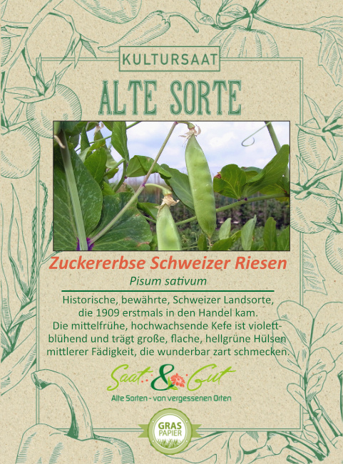 Saat & Gut BIO-Zuckererbse Schweizer Riesen