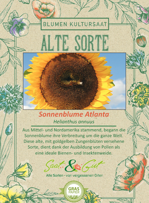 Saat & Gut BIO-Sonnenblume Atlanta