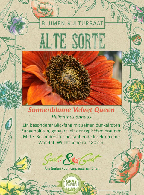 Saat & Gut BIO-Sonnenblume Velvet Queen