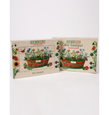 Saat & Gut BIO Alte Sorten BLUMEN Saatgut Würfel-Adventskalender