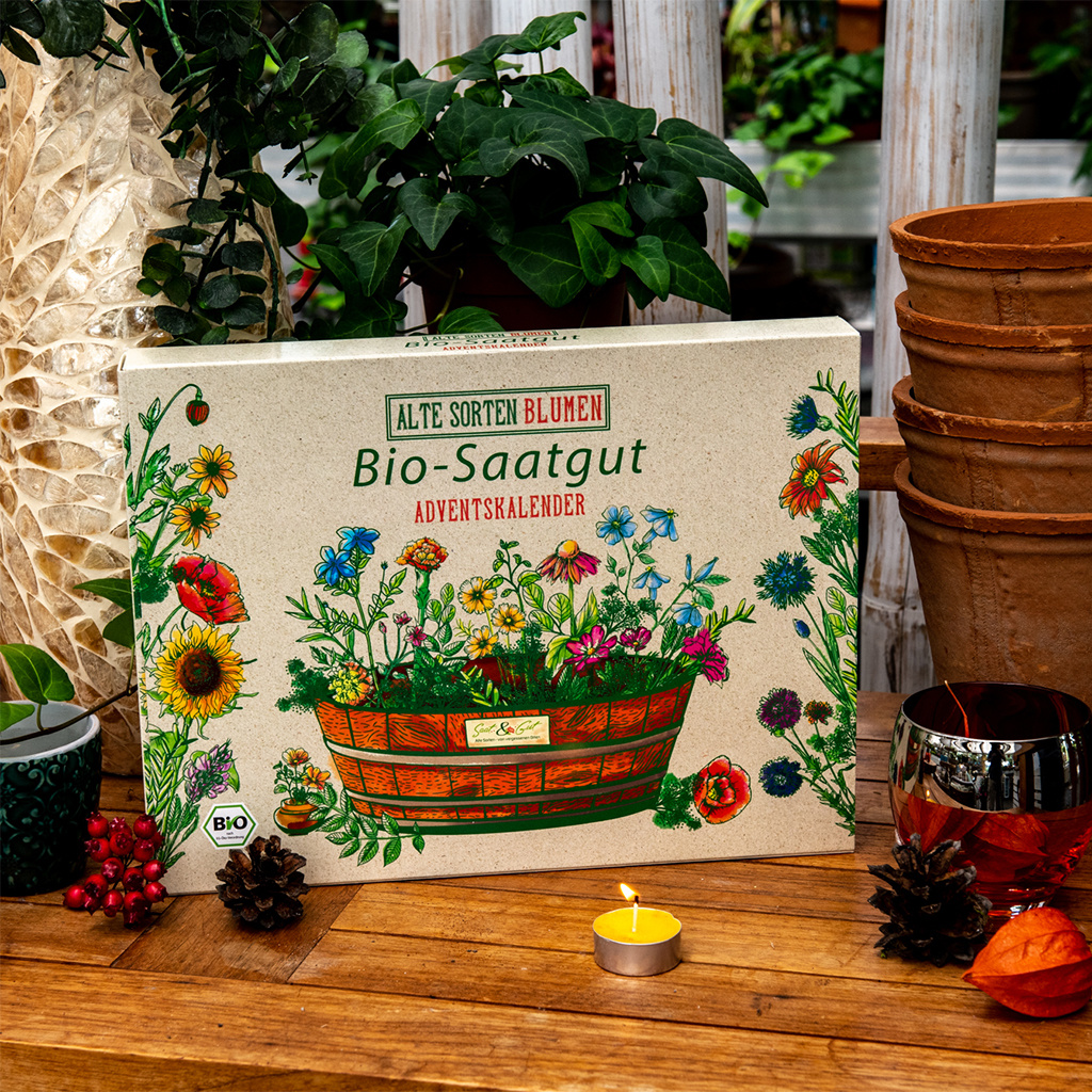 Saat & Gut BIO Alte Sorten BLUMEN Saatgut Würfel-Adventskalender