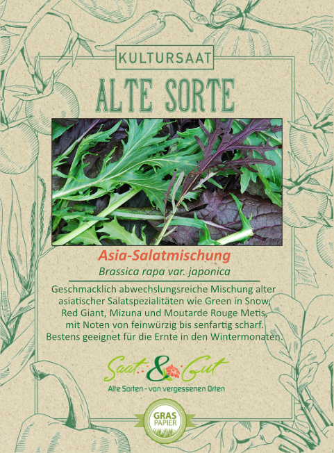 Saat & Gut BIO-Asia Salatmischung