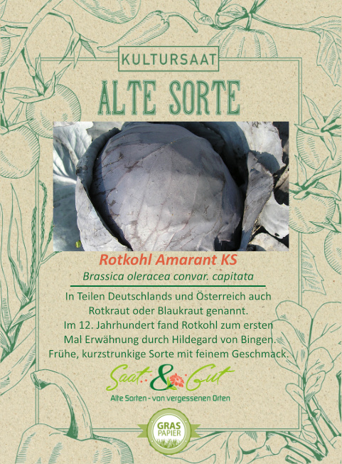 Saat & Gut BIO-Rotkohl Amarant KS