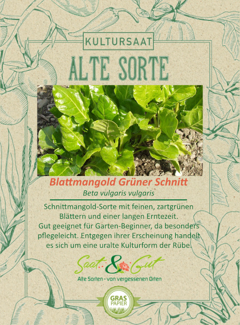 Saat & Gut BIO-Blattmangold Grüner Schnitt