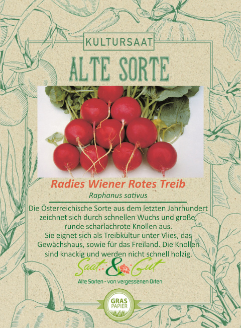 Saat & Gut BIO-Radies Wiener Rotes Treib