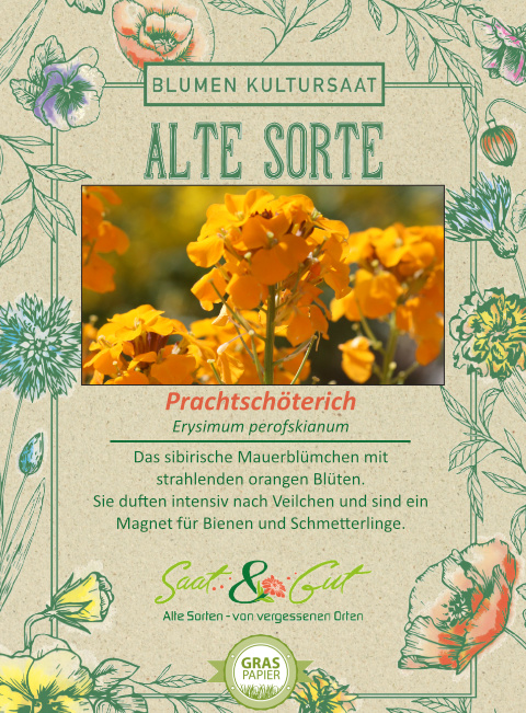 Saat & Gut BIO-Prachtschöterich