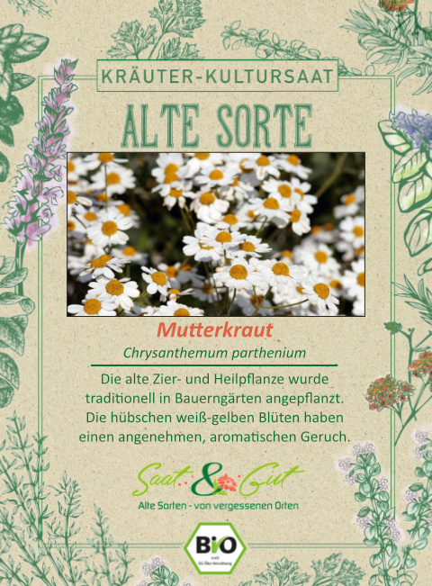 Saat & Gut BIO-Mutterkraut