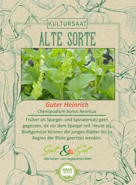 Alte Sorte - BIO-Guter Heinrich - Saat & Gut
