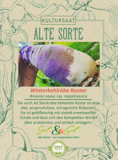 Saat & Gut BIO-Winterkohlrübe Kostar