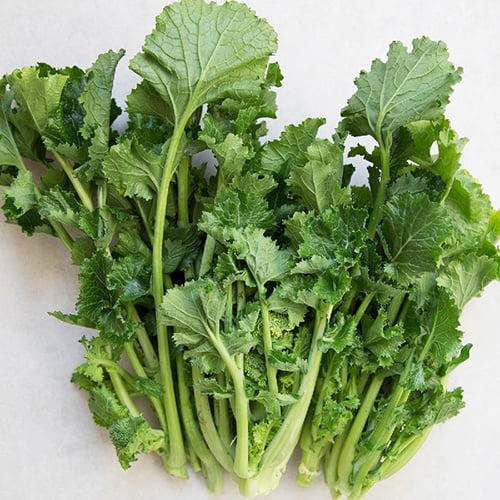 Saat & Gut BIO-Stängelkohl Cima di Rapa