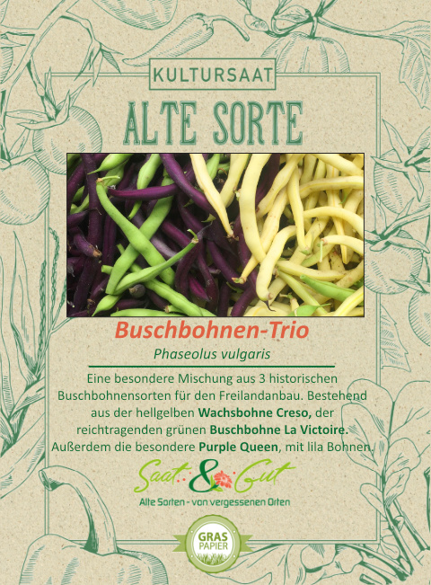 Saat & Gut BIO-Buschbohnen-Trio