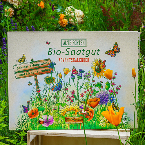 Saat & Gut BIO Alte Sorten SCHMETTERLING Saatgut Würfel-Adventskalender