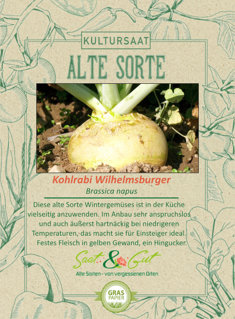 Saat & Gut BIO-Kohlrabi Wilhelmsburger