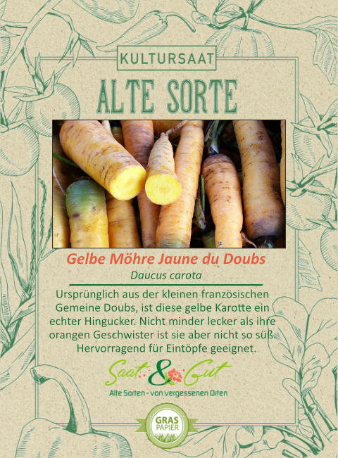 Alte Sorte - BIO-Gelbe Möhre Jaune du Doubs - Saat & Gut
