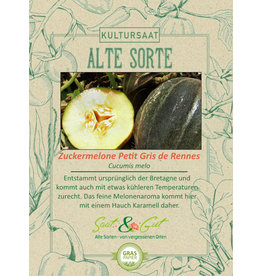 Saat & Gut BIO-Zuckermelone Petit Gris de Rennes