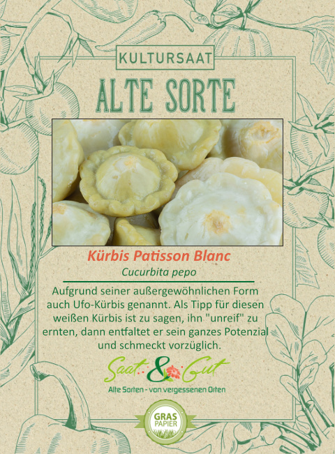 Saat & Gut BIO-Sommerkürbis Patisson Blanc