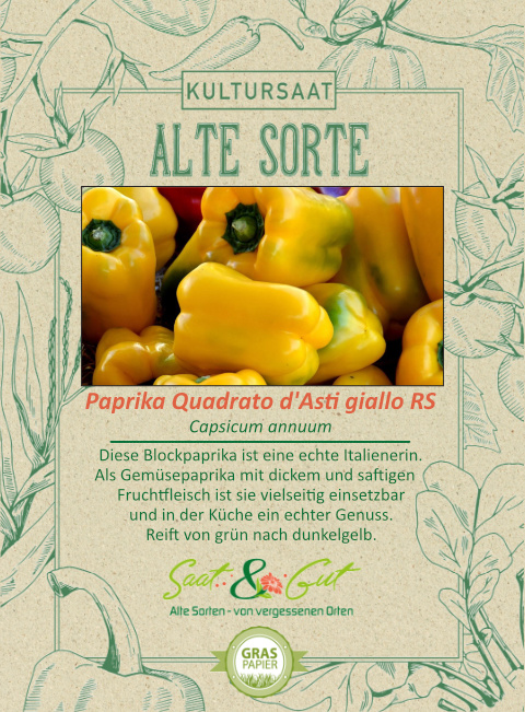 Saat & Gut BIO-Paprika Quadrato d'Asti giallo RS