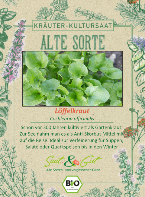 Saat & Gut BIO-Löffelkraut