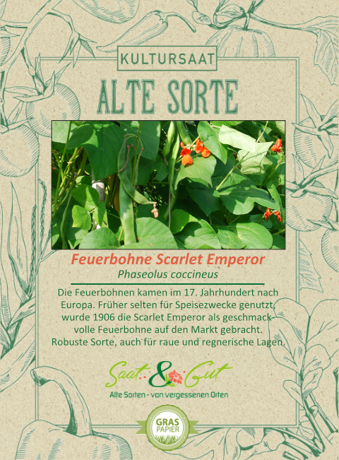 Saat & Gut BIO-Feuerbohne Scarlet Emperor