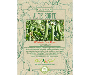 Alte Sorte - BIO-Wintererbse Sima - Saat & Gut