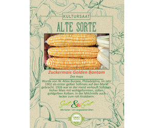 Alte Sorte - BIO-Zuckermais Golden Bantam - Saat & Gut