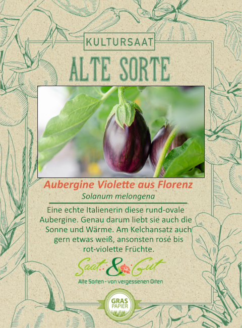 Saat & Gut BIO-Aubergine Violette aus Florenz