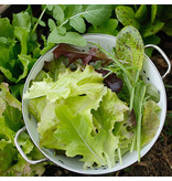 Saat & Gut BIO-Französische knackige Salat Mischung