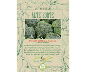 Alte Sorte - BIO-Brokkoli Calabrese Ramoso - Saat & Gut