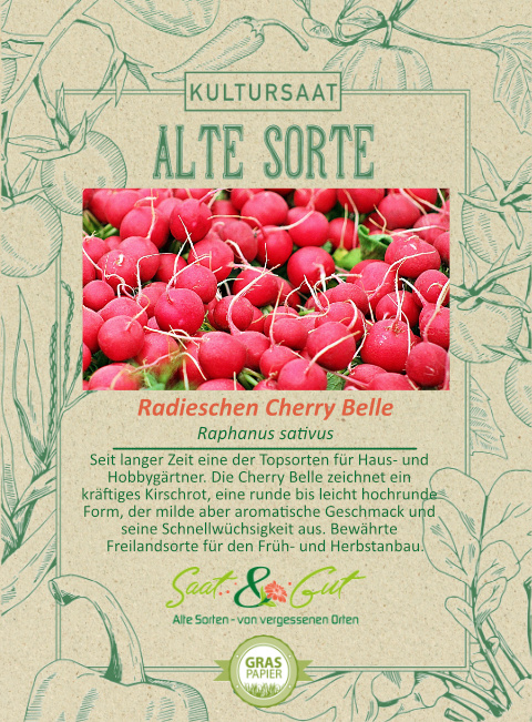 Saat & Gut BIO-Radieschen Cherry Belle