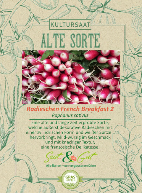 Saat & Gut BIO-Radieschen French Breakfast 2
