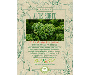 Alte Sorte - BIO-Grnkohl Westland Winter - Saat & Gut