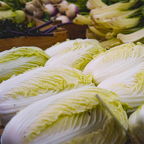 Saat & Gut BIO-Chinakohl Granat