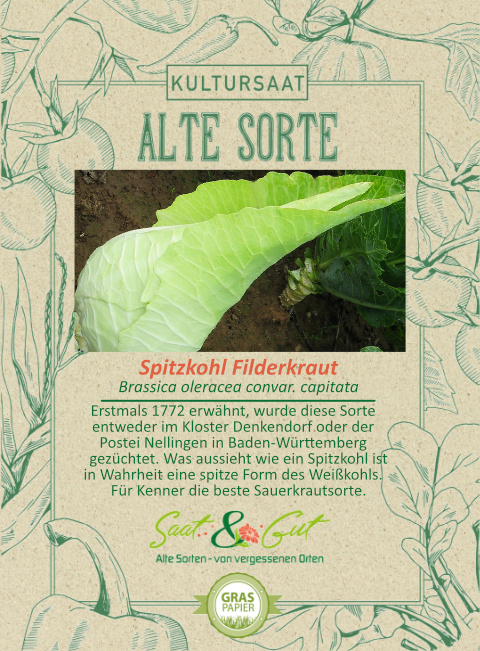 Saat & Gut BIO-Spitzkohl Filderkraut