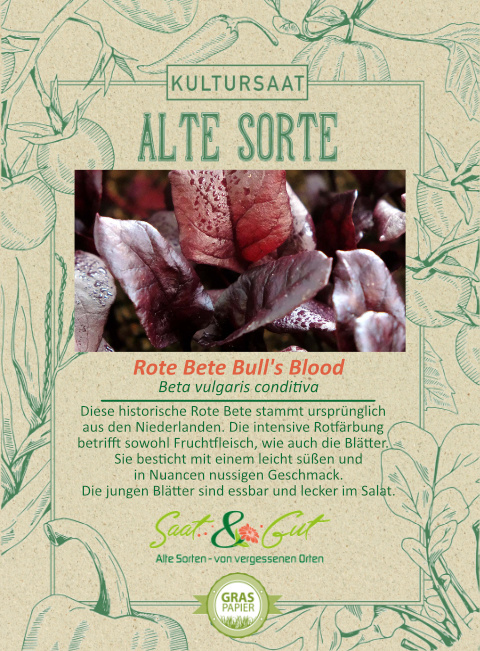 Saat & Gut BIO-Rote Bete Bull's Blood