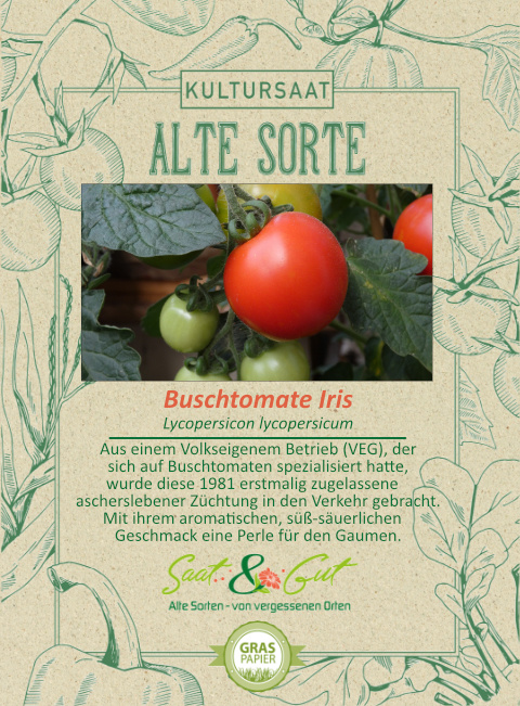 Saat & Gut BIO-Buschtomate Iris