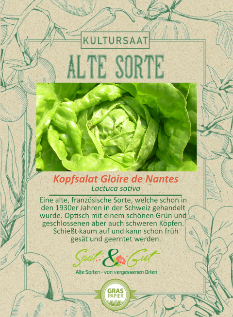 Saat & Gut BIO-Kopfsalat Gloire de Nantes