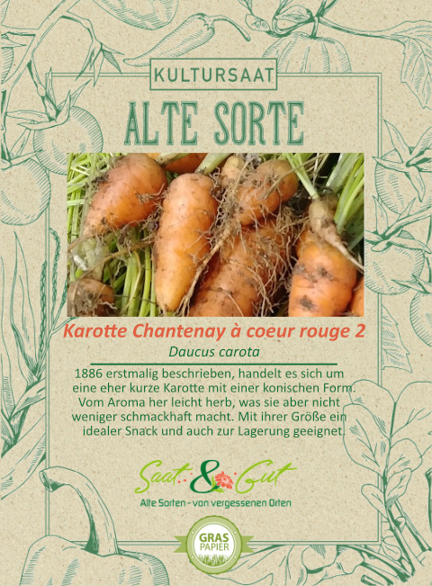 Saat & Gut BIO-Karotte Chantenay à coeur rouge 2