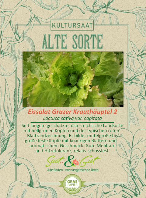 Saat & Gut BIO-Eissalat Grazer Krauthäuptel 2