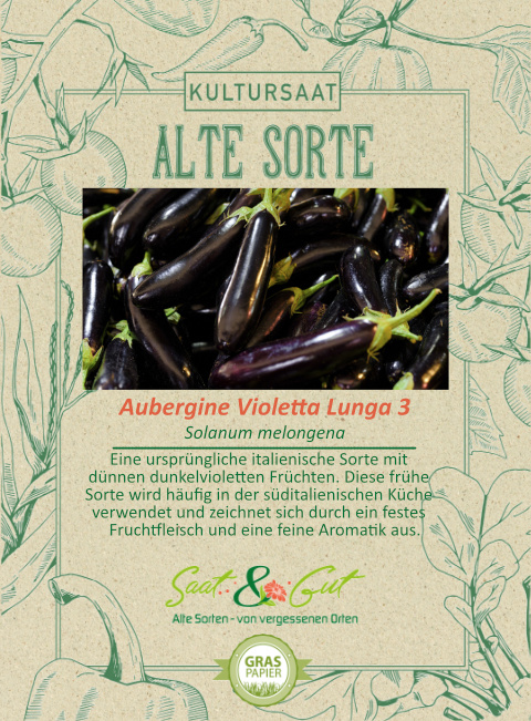 Saat & Gut BIO-Aubergine Violetta Lunga 3