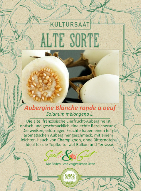 Saat & Gut BIO-Aubergine Blanche ronde a oeuf