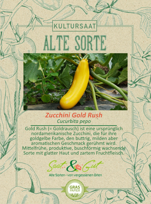 Saat & Gut BIO-Zucchini Gold Rush