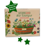 Saat & Gut BIO Alte Sorten BLUMEN Saatgut Würfel-Adventskalender