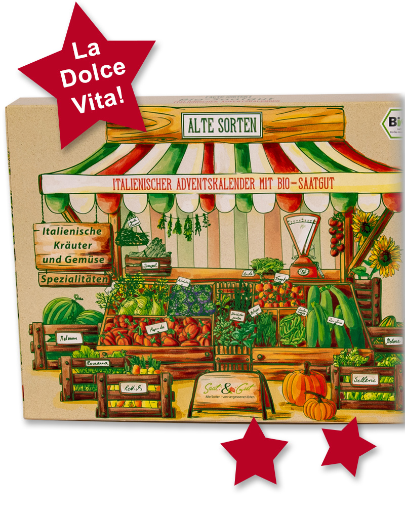 Saat & Gut BIO Alte Sorten ITALIENISCHER Saatgut Würfel-Adventskalender
