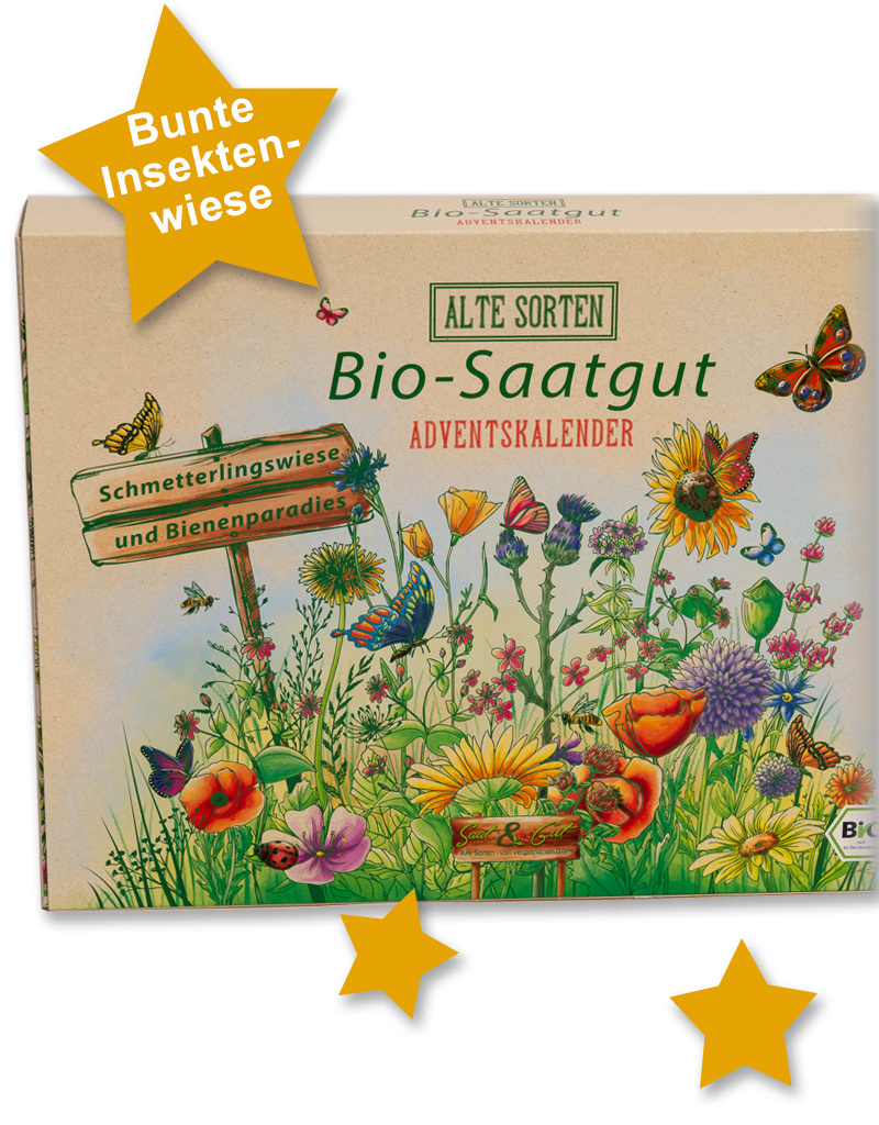 Saat & Gut BIO Alte Sorten SCHMETTERLING Saatgut Würfel-Adventskalender