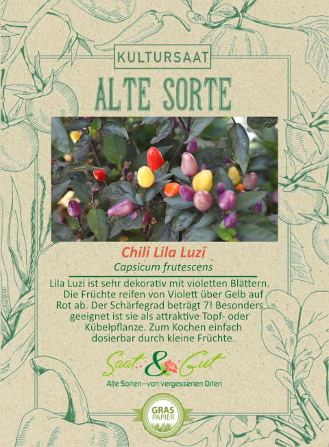 Saat & Gut BIO-Chili Lila Luzi