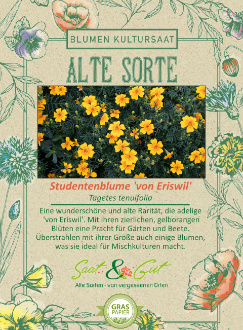 Saat & Gut BIO-Studentenblume 'von Eriswil'